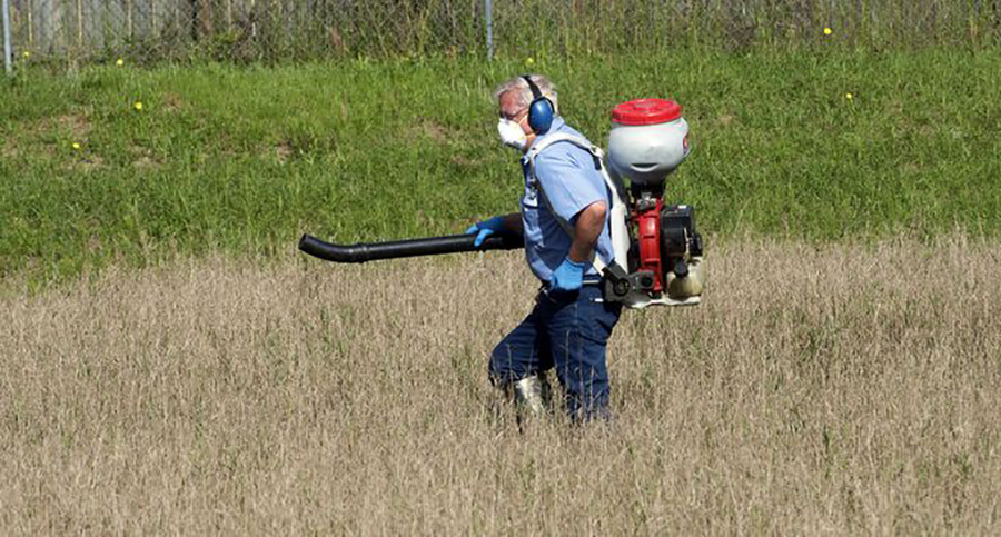 Mosquito Control Technician Spraying