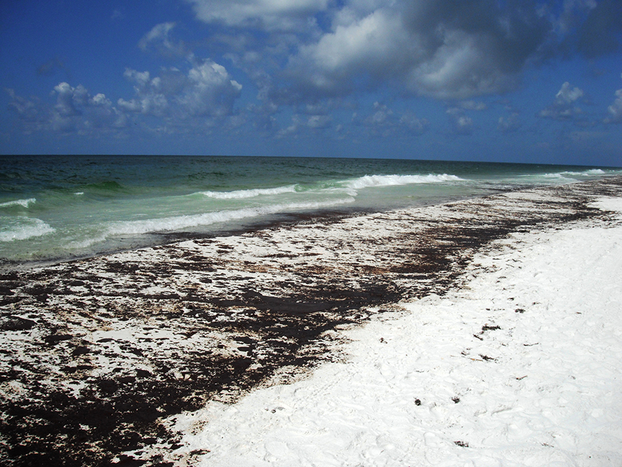 Oil Washed Ashore on the White Sand of the Beach
